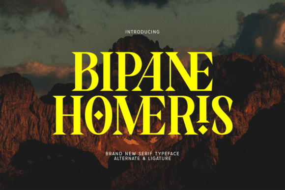 Bipane Homeris: A Designer’s Practical Review