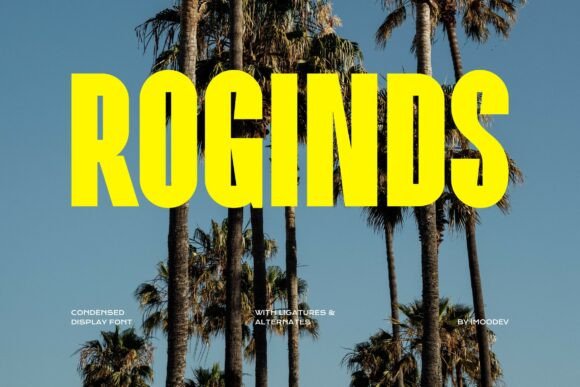 Roginds: A Bold Condensed Typeface for Modern Web Design
