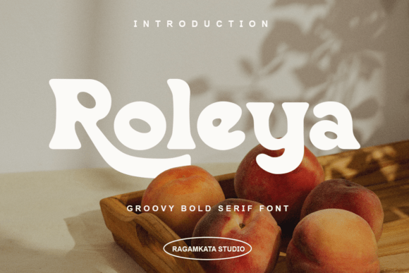 Roleya Regular: A Bold Serif Typeface for Branding